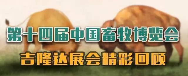 bbin��ӯ��չ�й�����������