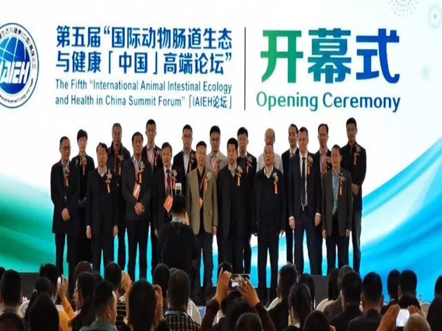 ������̳ح��Լ������������ҵս��ת��