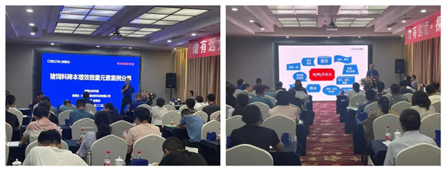 �������Ӽ���˾��̽����΢���ؼ��������ᡱ