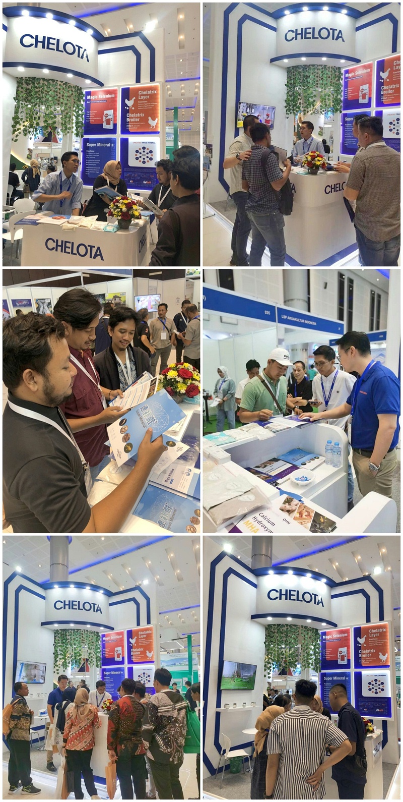 ӡ������չ����bbin��ӯչλ���