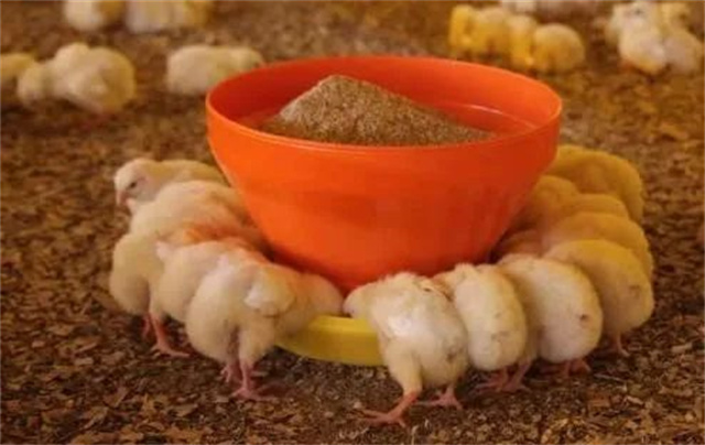 ������Ӧ��������