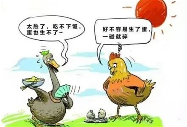 ������Ӧ��������