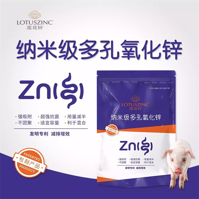 ����п-bbin��ӯ����п