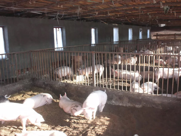 �������������������������������΢��Ԫ��Ԥ�������������