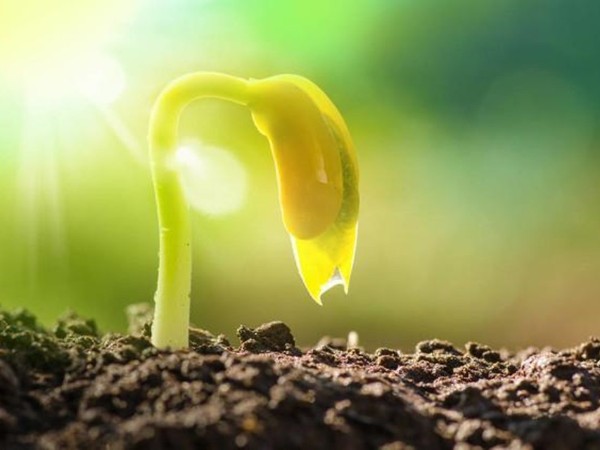 ����bbin��ӯ��ҵ��������ˮ������