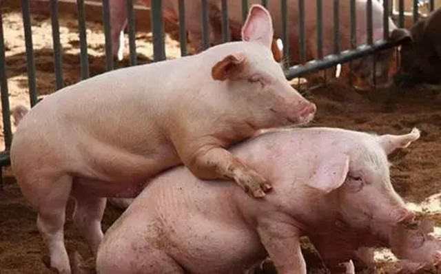 ĸ�����̹�����ԭ��