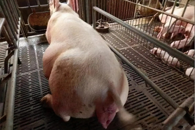 ĸ�����̹�����Σ��