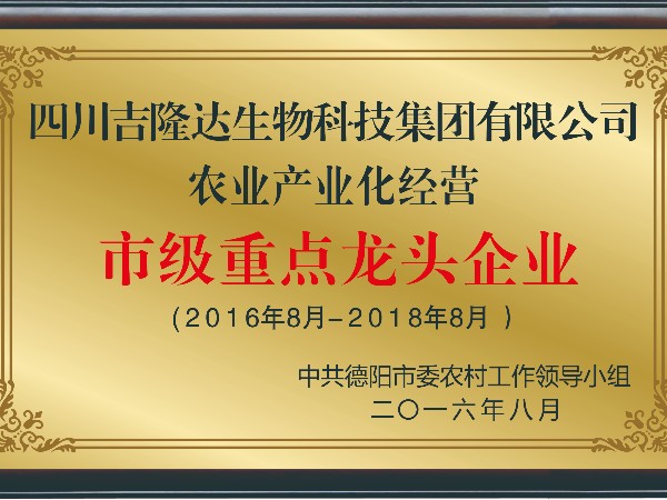 Ȩ����֤����bbin��ӯ�������ʸ���