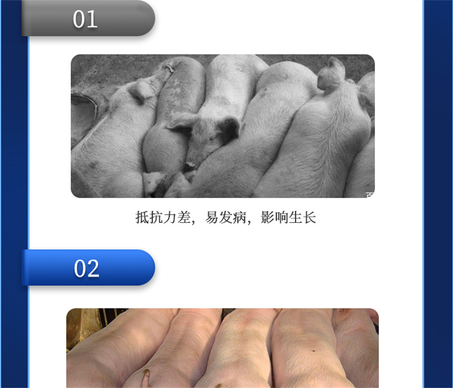 bbin��ӯ�����������Ӽ�����Ԫ��Ʒ����