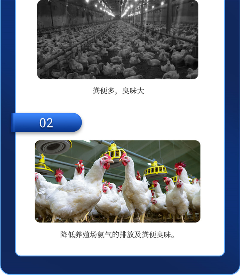 bbin��ӯ�����������Ӽ�����Ԫ��Ʒ����