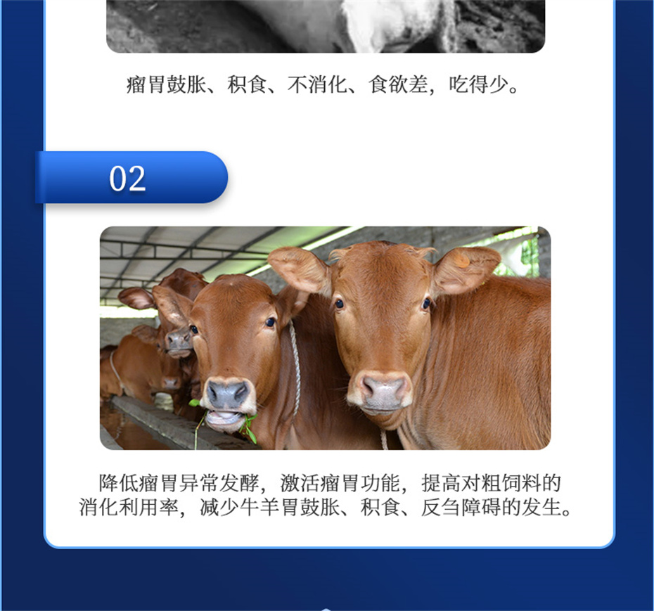 bbin��ӯ����ţ���������Ӽ�θ��plus��Ʒ����