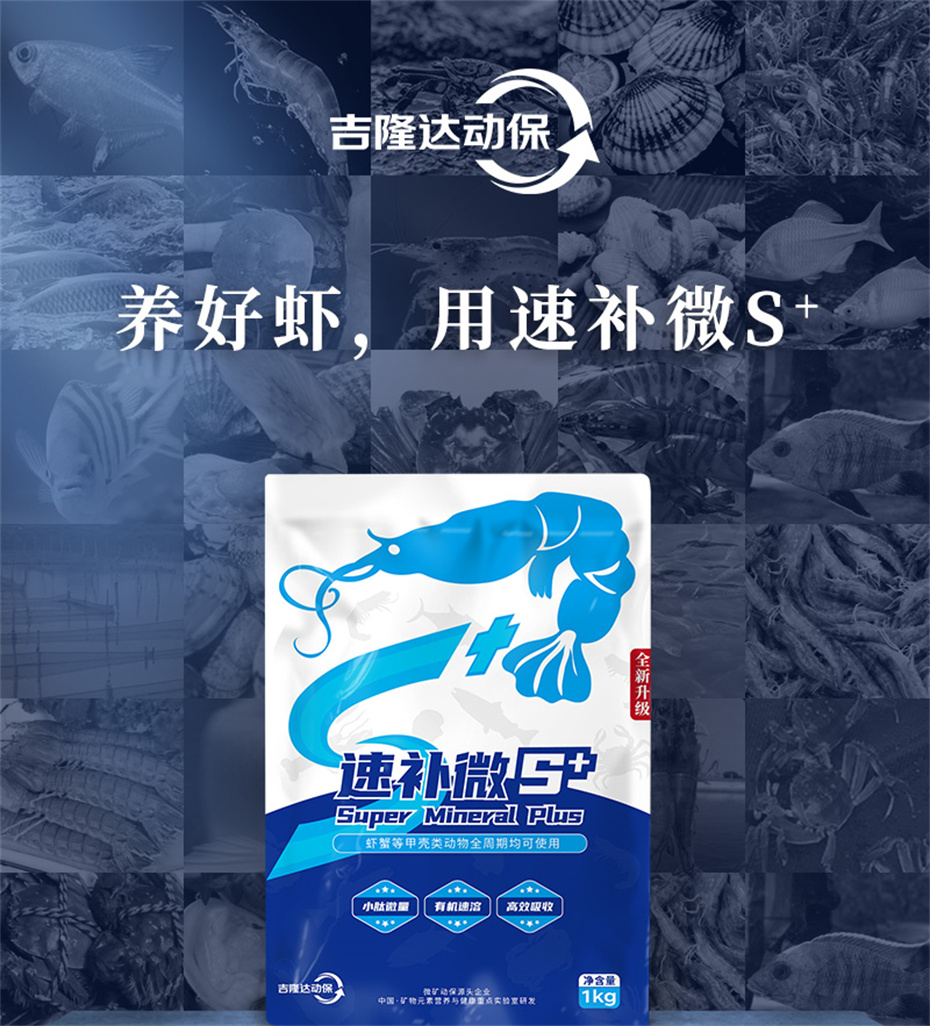 bbin��ӯ����ˮ���������Ӽ��ٲ�΢s+��Ʒ����