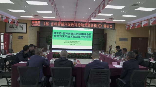 ��-������ѭ����ɫ�ɳ�����չ��ģʽ���л�