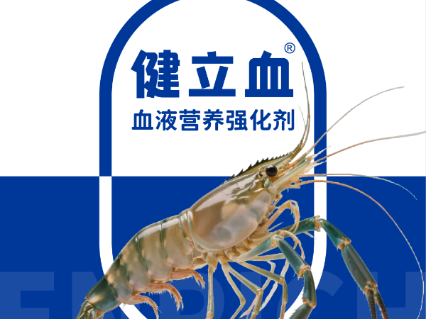 ��ϺҪ��Ѫ��͵��Ӧ�����߲���ԭ������Ϊ����