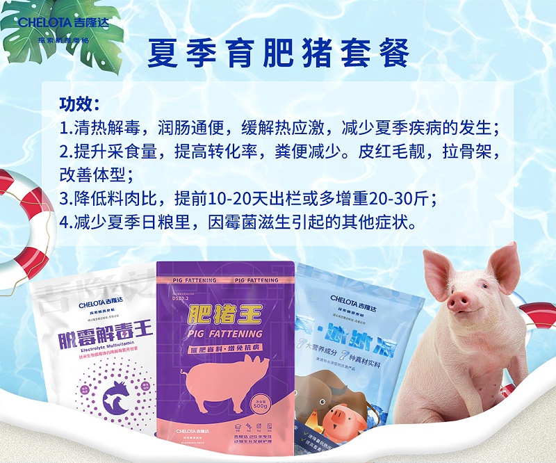 ���������Ӽ�