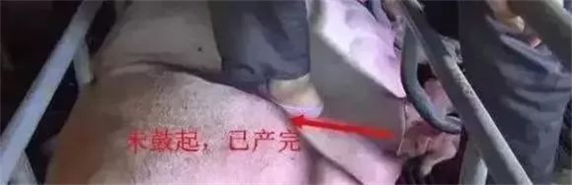 �ж�ĸ���Ƿ�����3������ĸ���ӹ���λ