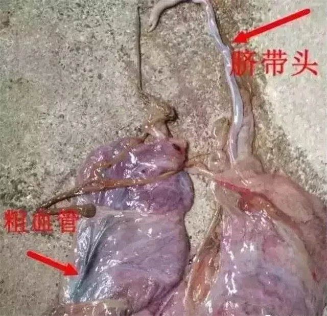 �ж�ĸ���Ƿ�����1���������ͷ