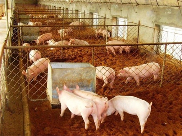 ����Ӧ�������ح��������ǿ��Ӫ����ʩ