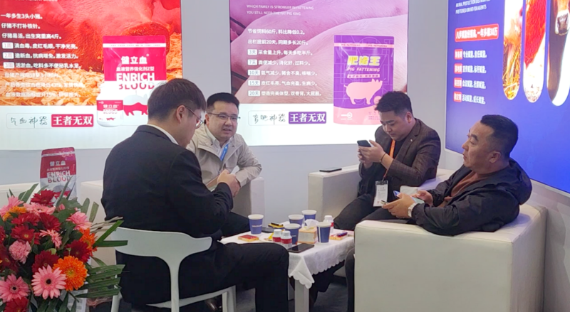 �������bbin��ӯ����չ̨