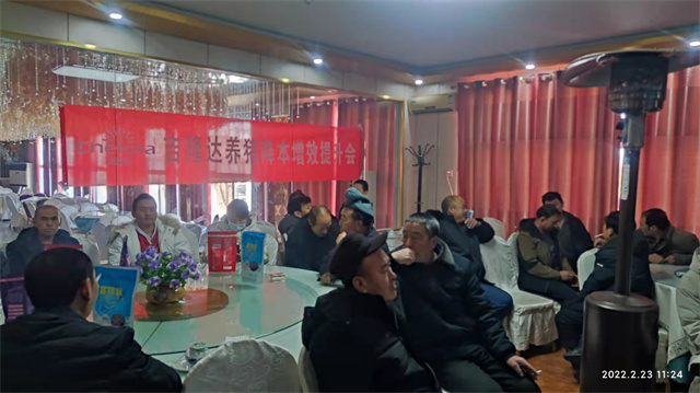 bbin��ӯ����������Ч������