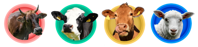 bbin��ӯ��ۻ�����������Ӽ�