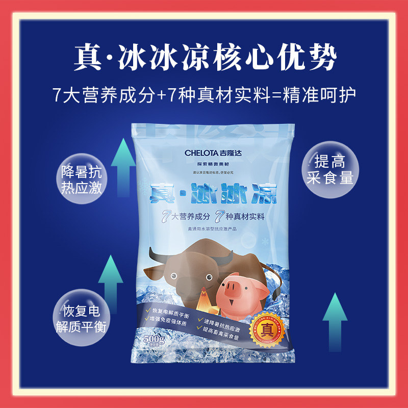 bbin��ӯ����������