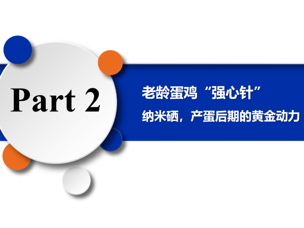 ���䵰����ǿ���롱����Ħ�������������ڵĻƽ���